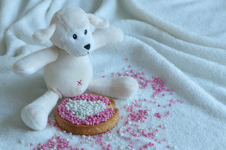 baby stuffed animal sitting in front of a custom cookie with pink and white sprinkles on a blanket