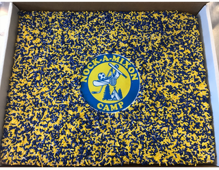Camp Krispy Cake